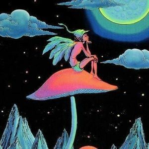 Meet your Posher, Terry